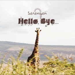 [중고] 세렝게티 (Serengeti) / Hello, Bye… (Single)