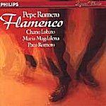 [중고] Pepe Romero / Flamenco (수입/4220692)