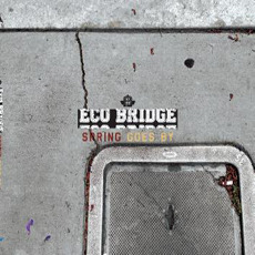 [중고] 에코 브릿지 (Eco Bridge) / Spring Goes By (Digipack/홍보용/싸인)