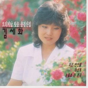 [오아시스] 김세화 / 오리지날 힛송 총결산집 (미개봉)