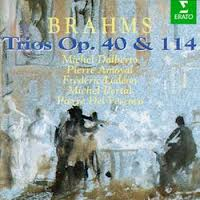 [중고] Michel Dalberto, Pierre Amoyal, Prederic lodeon / Brahms: Trios Opus 40 &amp; 114 (수입/4509969512)