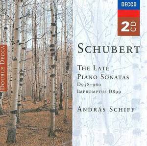 [중고] Andras Schiff / Franz Schubert : PIano Sonata D 958-960 (2CD/수입/4751842)