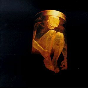 Alice In Chains / Nothing Safe: The Best Of The Box (미개봉)