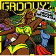 [중고] V.A. / Groovyz : Big Tunes Of Reggae, Hip Hop &amp; R&amp;B (vicp62933)