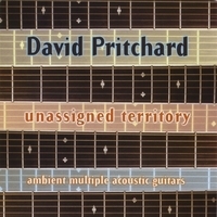 David Pritchard / Unassigned Territory (수입/미개봉)