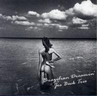 [중고] Joe Beck Trio / Brazilian Dreamin&#039; (일본수입)