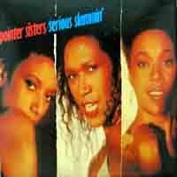 [중고] [LP] Pointer Sisters / Serious Slammin&#039;