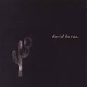 David Bavas / David Bavas And The Down Comforter (수입/미개봉)
