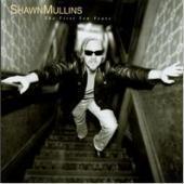 [중고] Shawn Mullins / The First Ten Years (홍보용)