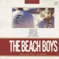 [중고] Beach Boys / Big Artist Album