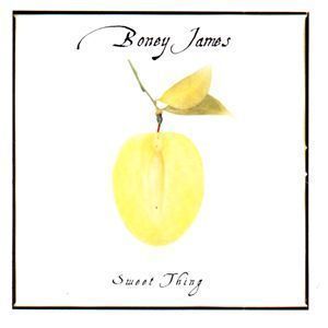 [중고] Boney James / Sweet Thing