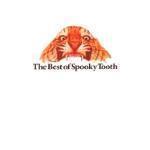 [중고] Spooky Tooth / The Best Of Spooky Tooth (홍보용)