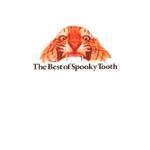 Spooky Tooth / Best Of Spooky Tooth (수입/미개봉)