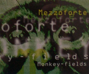 [중고] Mezzoforte / Monkey Fields (수입/Single)