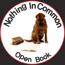[중고] 낫띵 인 커먼 (Nothing In Common) / Open Book