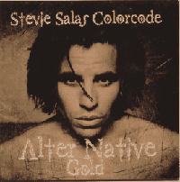 Stevie Salas Colorcode / Alter native (미개봉)