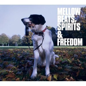 [중고] V.A. / Mellow Beats, Spirits &amp; Freedom (Digipack/일본수입/pcd93097)