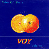 [중고] 보이 (Voy) / 1집 Voice Of Youth