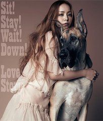 [중고] Namie Amuro (아무로 나미에) / Sit! Stay! Wait! Down! - Love Story (일본수입/avcd48268)