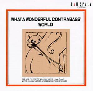 [중고] V.A. / What a Wonderful Contrabass&#039; Wolrd (일본수입/25cm60)