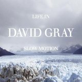 [중고] David Gray / Life In Slow Motion (수입)