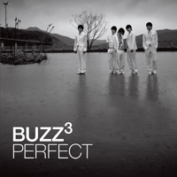 [중고] 버즈 (Buzz) / 3집 Perfect (홍보용)