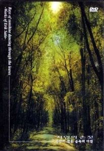 [중고] [DVD] 자연의 손짓 - 음악이 있는 숲속의 아침