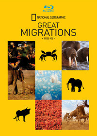 [중고] [Blu-Ray] Great Migration - 위대한 여정 (2Blu-ray)