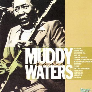 [중고] Muddy Waters / Chicago Blues (수입)