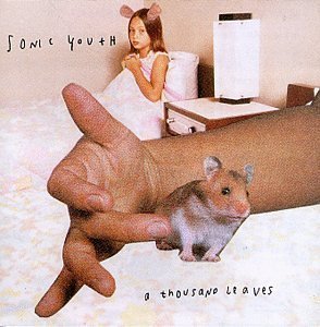 Sonic Youth / Thousand Leaves (수입/미개봉)