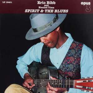 [중고] Eric Bibb / Spirit &amp; The Blues (수입)