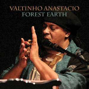 [중고] Valtinho Anastacio / Forest Earth