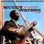 [중고] Muddy Waters / At Newport 1960 (수입)