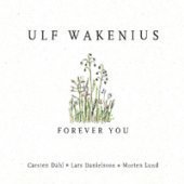 [중고] Ulf Wakenius / Forever You