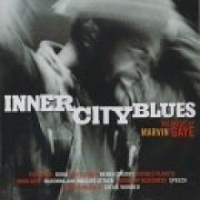 [중고] Marvin Gaye / Inner City Blues (홍보용)