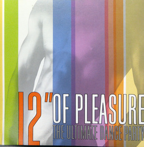 [중고] V.A. / 12&#039;&#039; Of Pleasure - The Ultimate Dance Party (2CD/수입)
