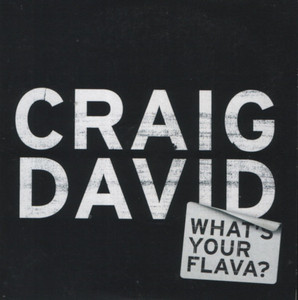 [중고] Craig David / What&#039;s Your Flava? (홍보용/Single)