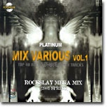 [중고] V.A. / Platinum Mix Various Vol.1 : Rockslay Mega Mix 2001 Spring (2CD)