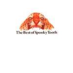 [중고] Spooky Tooth / The Best Of Spooky Tooth (수입)