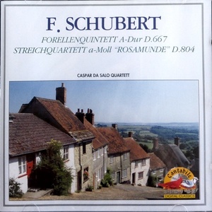 [중고] Caspar Da Salo Quartett / Schubert: Forellenquintett, Streichquartett &quot;rosamunde&quot; (자켓확인/srk5041)