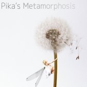 [중고] 피카 (Pika) / Pika&#039;s Metamorphosis