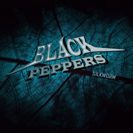 블랙페퍼스 (Black Peppers) / Silkworm 1st Single (미개봉)