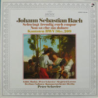 [중고] [LP] Peter Schreier / Bach : Kantaten BWV36c und 209 (수입/2533453) - sr107