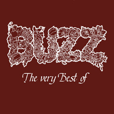[중고] 버즈 (Buzz) / The Very Best Of Buzz