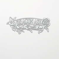 [중고] Dragon Ash (드래곤 애쉬) / The Best Of Dragon Ash With Changes Vol.2 (sdcd2128)