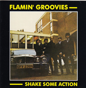 [중고] Flamin&#039; Groovies / Shake Some Action (수입)
