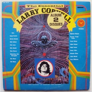 [중고] Larry Coryell / The Essential Larry Coryell