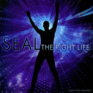 [중고] Seal / The Right Life (수입)