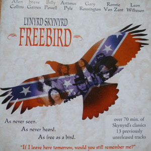 [중고] Lynyrd Skynyrd / Freebird: The Movie
