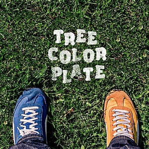 [중고] 에브리 싱글 데이 (Every Single Day) &amp; 박현 &amp; 최수정 / Tree Color Plate (Digipack)